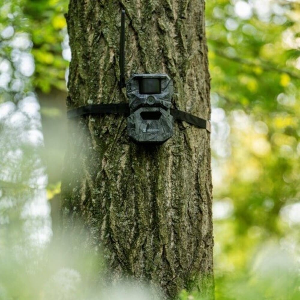 HIKMICRO T16 Funkwildkamera mit Tarngehäuse am Baum befestigt für diskrete Wildüberwachung, Wildmonitoring und Jagdeinsatz im Wald