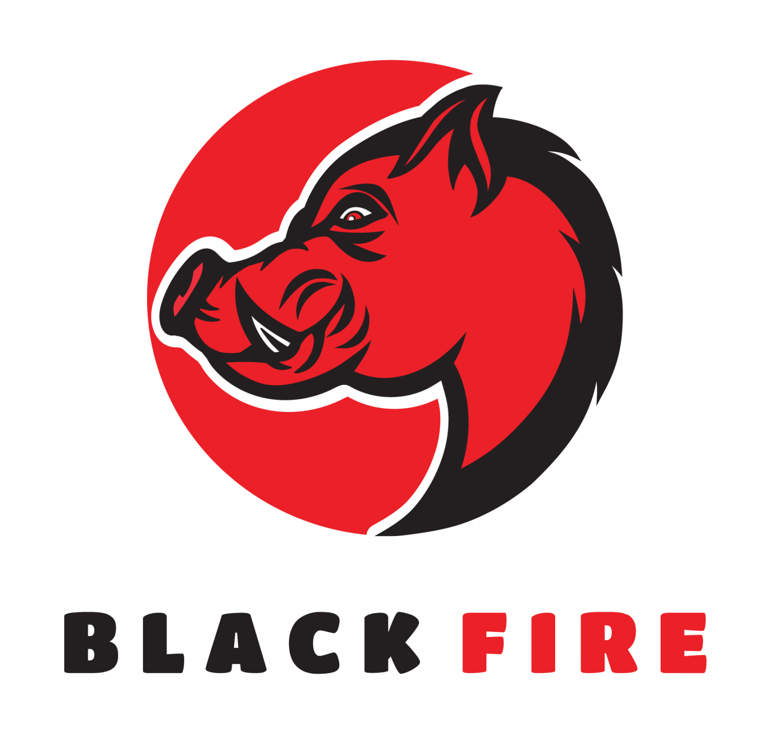 Black Fire Black Fire