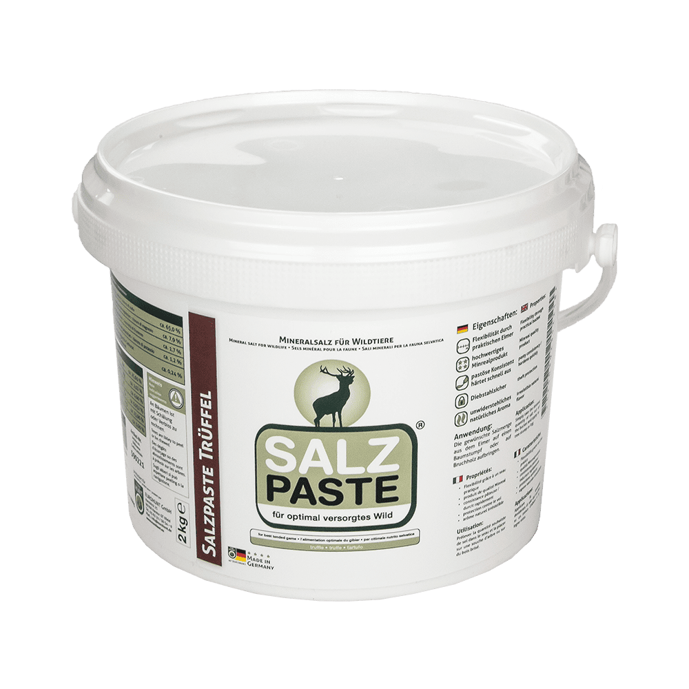 Salzpaste