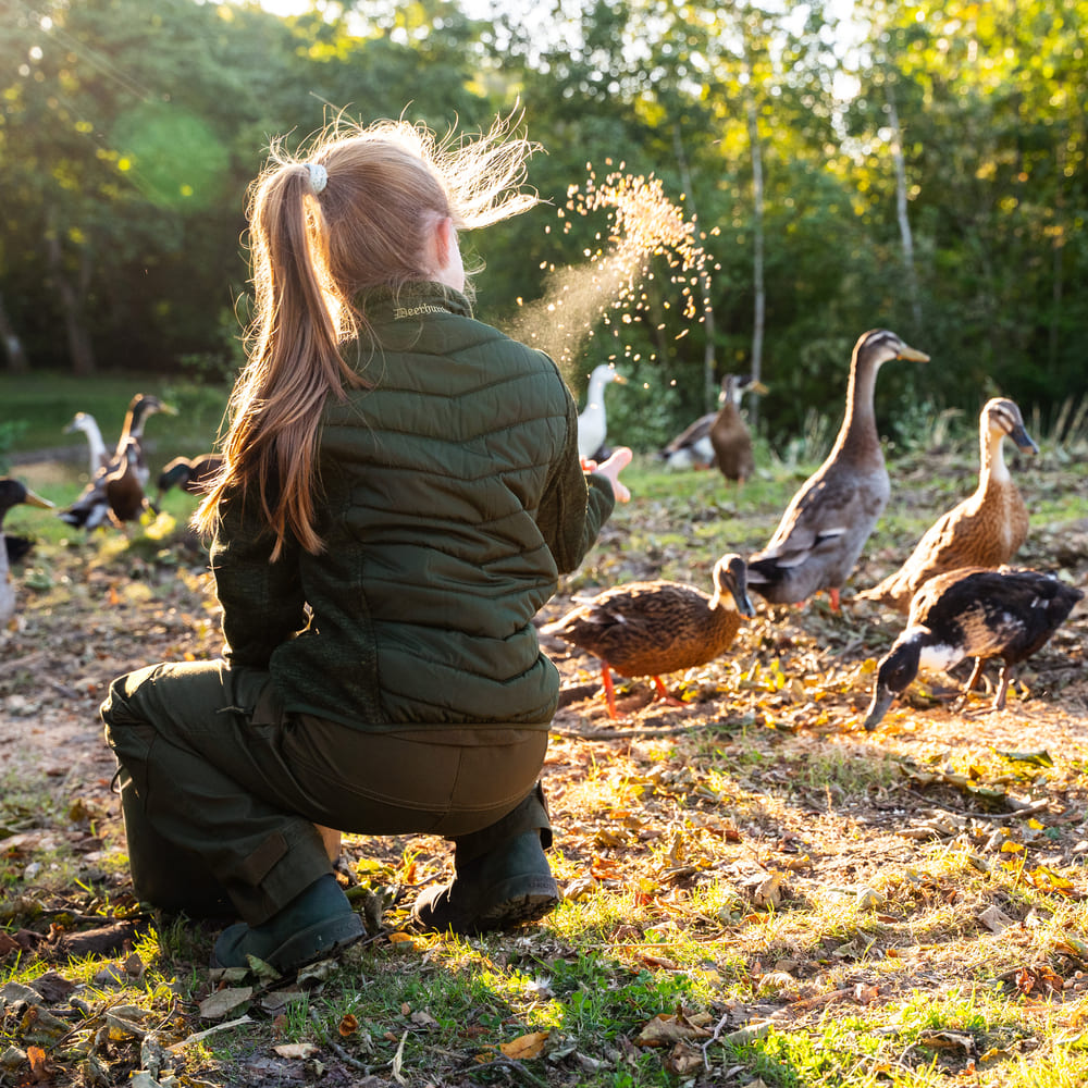 Person in grüner Jagdbekleidung kniet in der Natur zwischen Enten und Gänsen und verteilt Futter.
