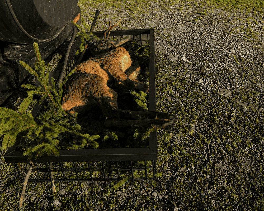 GEHETEC Wildträger in Schwarz mit erlegtem Rehbock für den sicheren Wildtransport bei der Jagd.