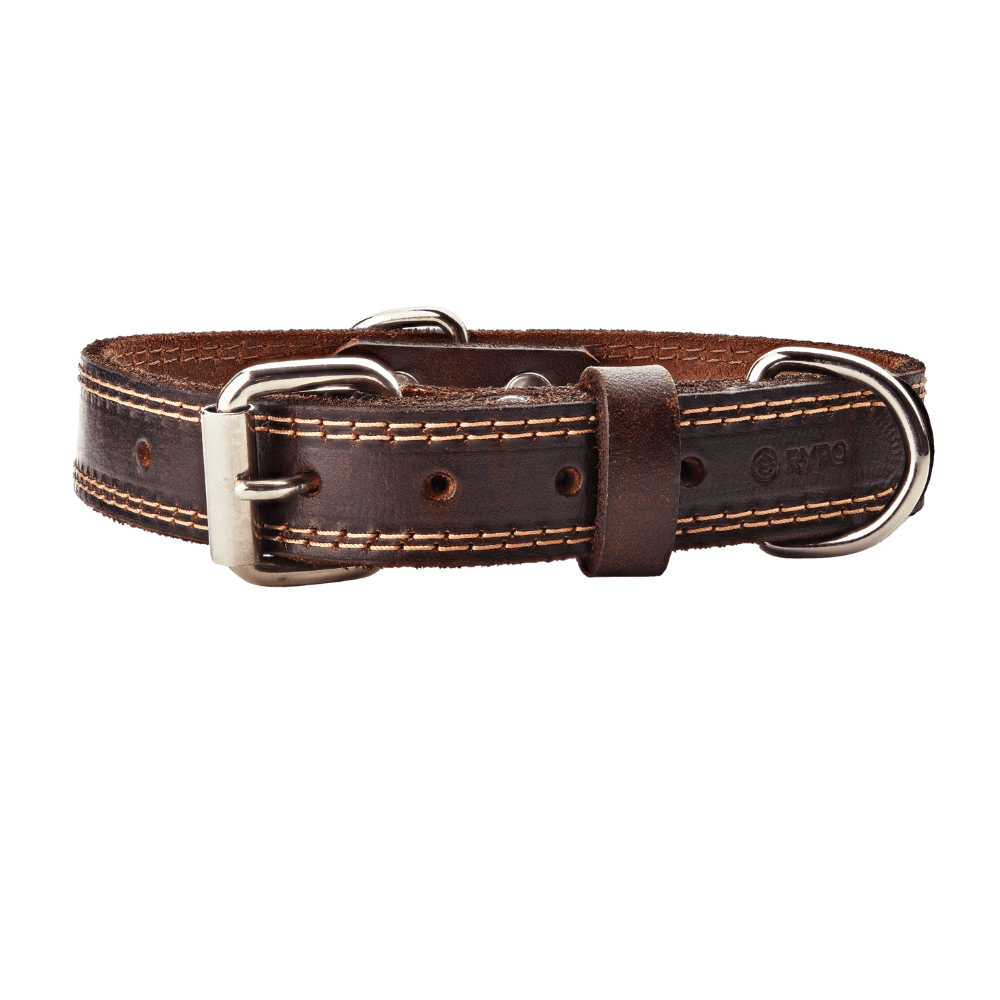 Lederhalsband Lederhalsband