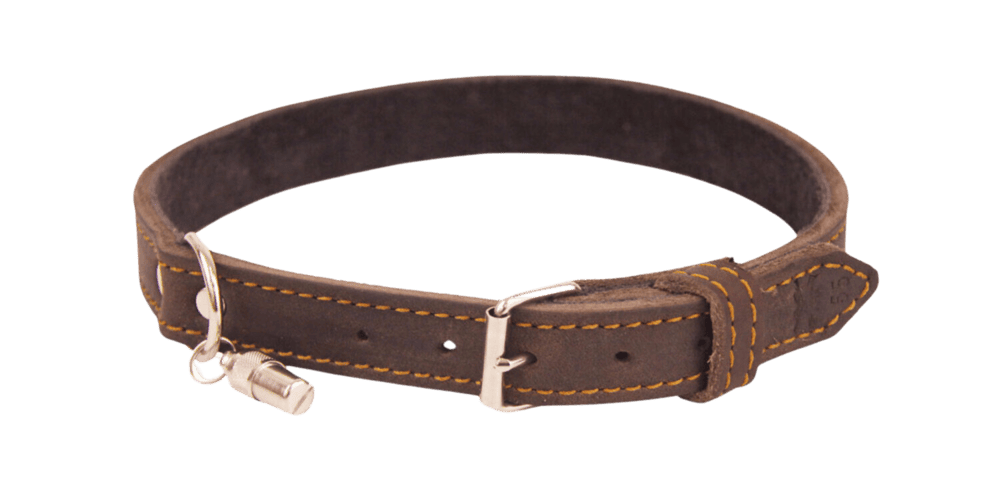 Ă–lleder-Hundehalsband Ă–lleder-Hundehalsband