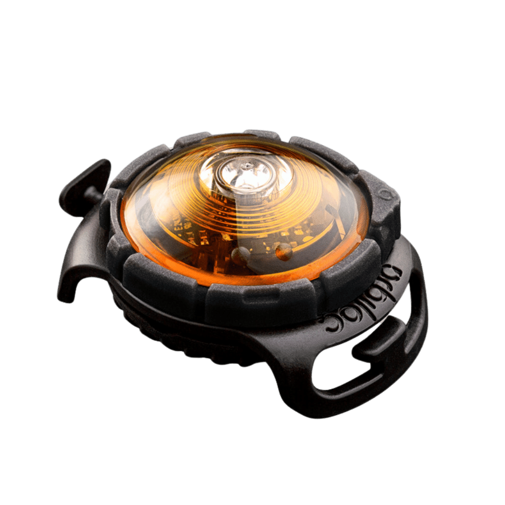 Sicherheitslicht Dog Dual