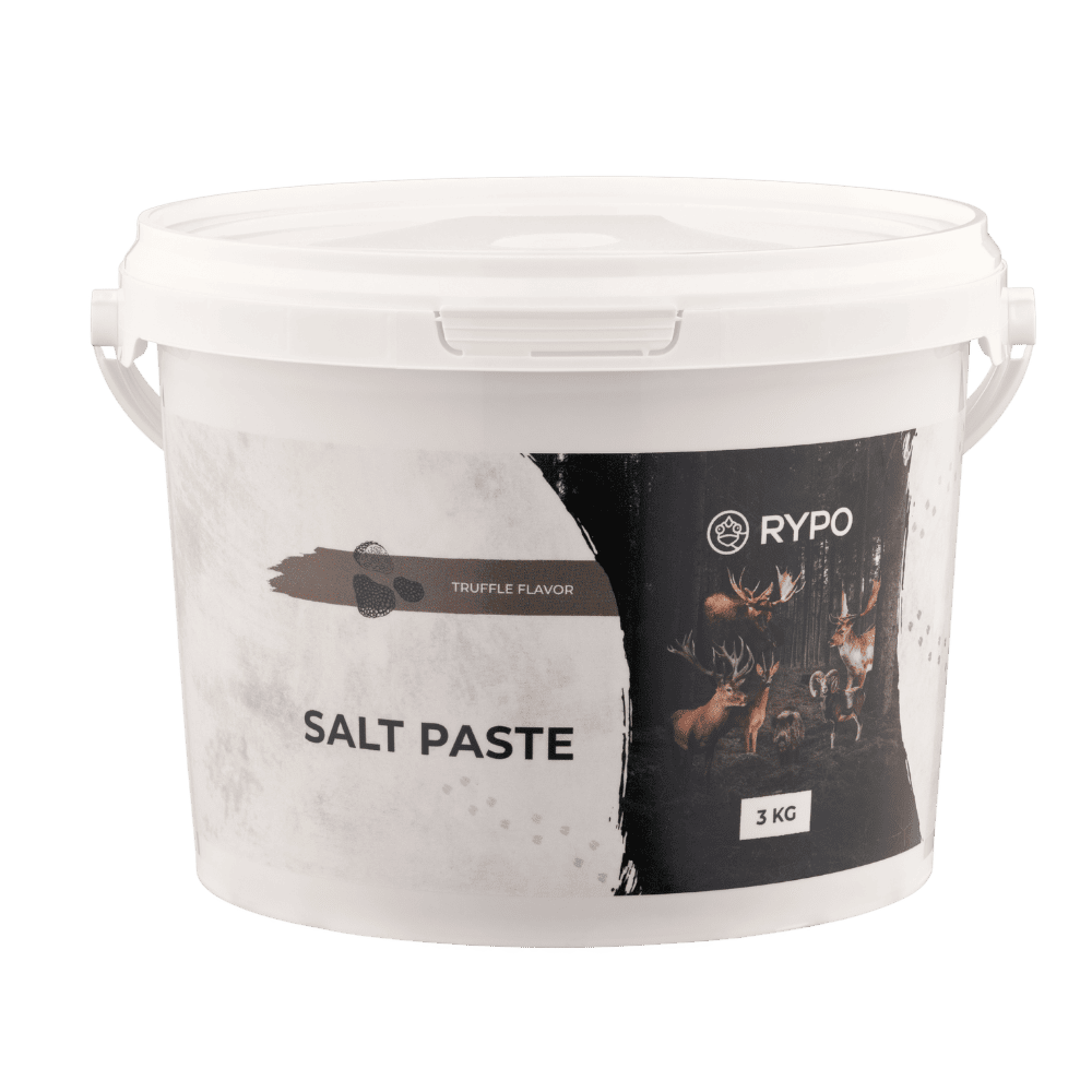 Salz Paste