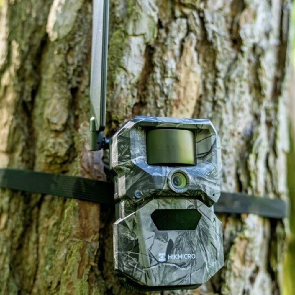 HIKMICRO T16 4G Wildkamera montiert am Baum im Jagdrevier zur zuverlässigen Wildbeobachtung, Revierkontrolle und digitalen Wildüberwachung