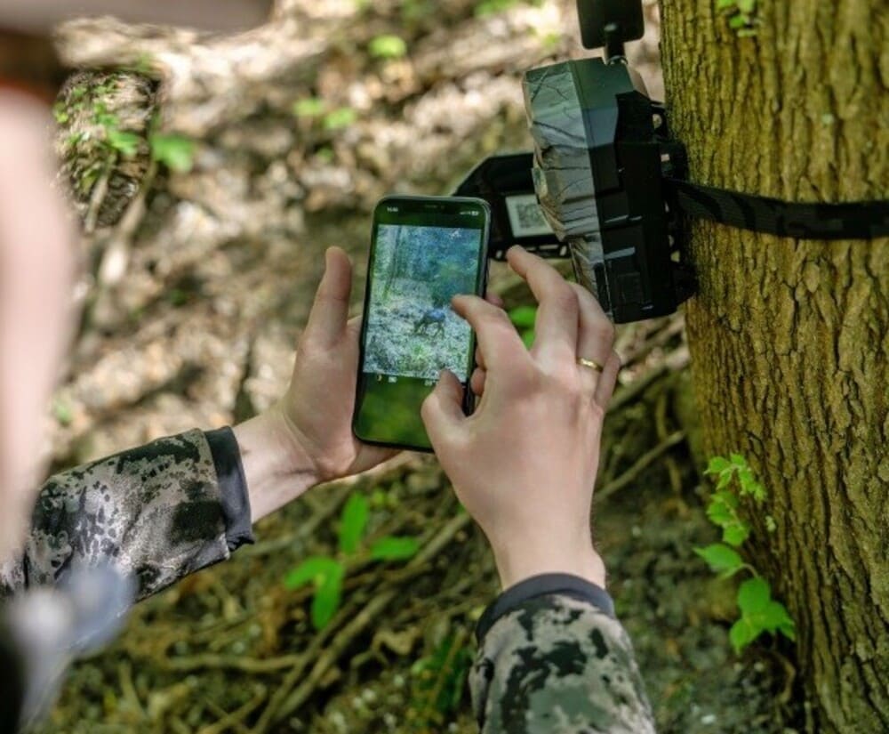 HIKMICRO T16 Wildkamera im Wald installiert zur modernen Wildüberwachung mit 4G-Fernzugriff für Jäger und Revierinhaber